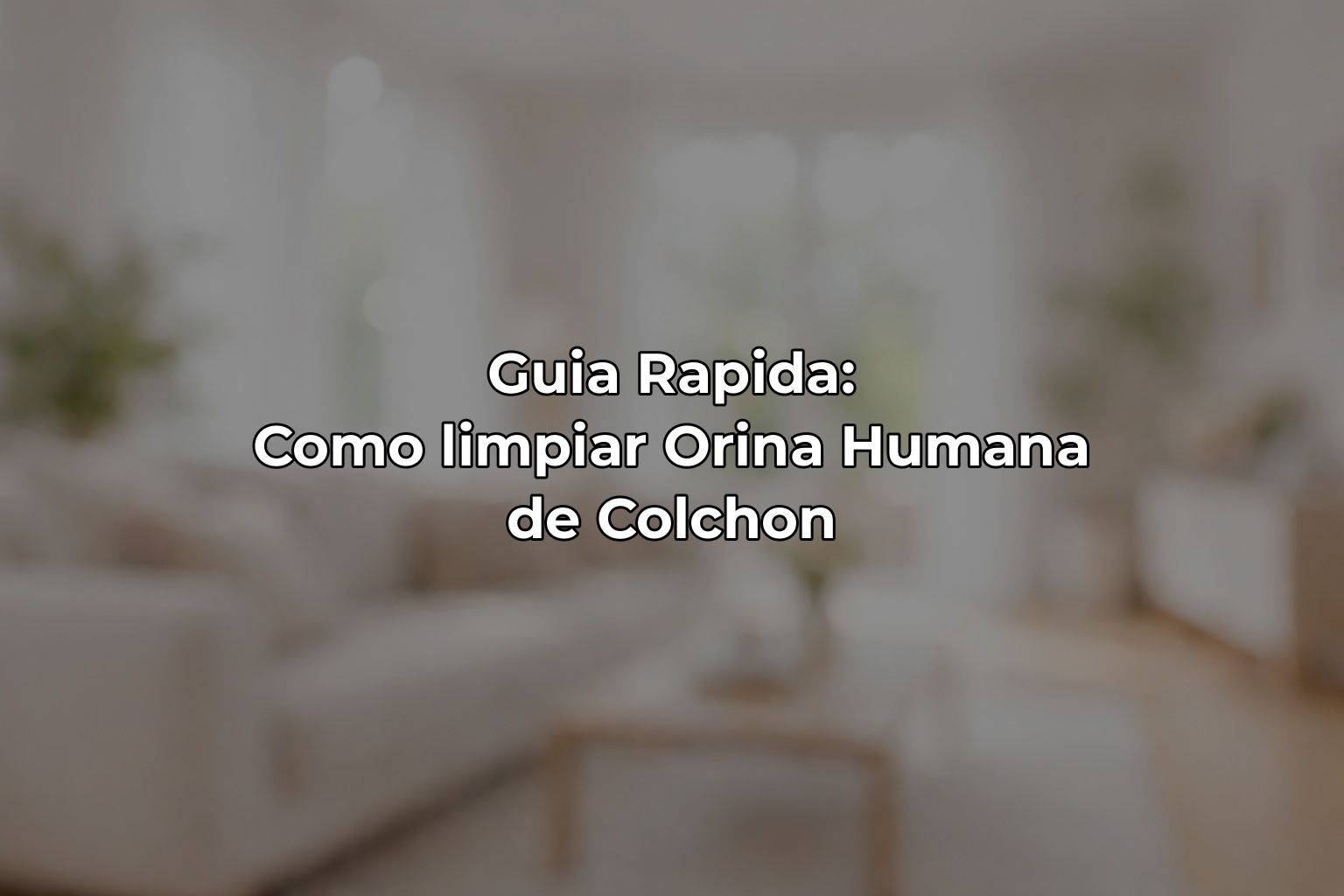 Guia Rapida: Como limpiar Orina Humana de Colchon