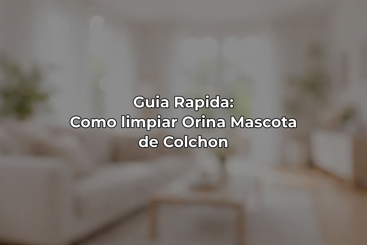 Guia Rapida: Como limpiar Orina Mascota de Colchon
